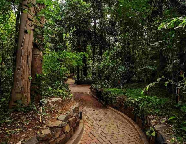 Lush Green Landscape